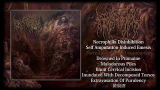 HETERADELPHY  quotInundated With Decomposed Torsosquot Official Full Album Stream [upl. by Inglis]