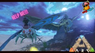 getting wyvern eggs on a Lymantria  ark ascended [upl. by Niwled]