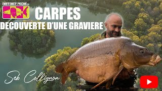 CARPE DECOUVERTE DUNE GRAVIERE [upl. by Crawley]