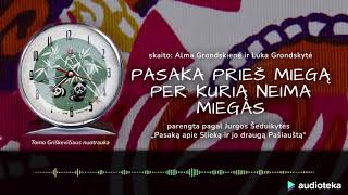 PASAKA PRIEŠ MIEGĄ PER KURIĄ NEIMA MIEGAS  Audiotekalt [upl. by Eittod387]