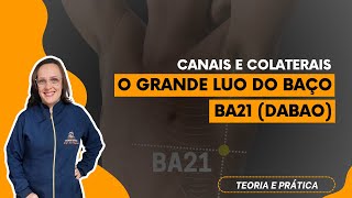 O grande luo do Baço BA21 dabao [upl. by Atinid]