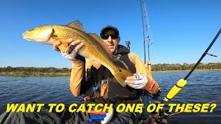 How I Catch Redfish In The Grass  Kayak Fishing Guana Lake Northeast Florida [upl. by Ellehcem]