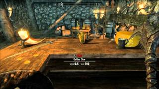 Where to Find or Buy Lockpicks in Skyrim [upl. by Bellis]