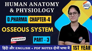 OSSEOUS SYSTEM  HUMAN ANATOMY PHYSIOLOGY  Part  3  D Pharma  FIRST YEAR dpharma [upl. by Elwee]