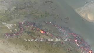 Aerial view of Chhath Puja hordes praying to the sun along the polluted Yamuna river in New Delhi [upl. by Hoes]