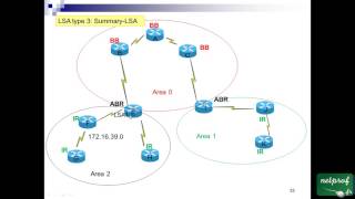 49 Topologie OSPF [upl. by Steward615]