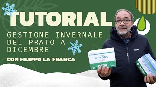 OCCHIO AL PRATO  TUTORIAL gestione invernale del tappeto erboso [upl. by Ojeibbob]