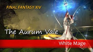 The Aurum Vale as White Mage  FFXIV [upl. by Ellehcer]