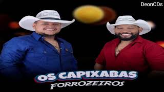 Os Capixabas Forrozeiros  CD Promocional  2025 [upl. by Kcirde]