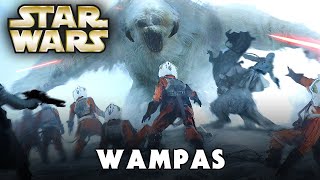 WAMPAS Explained Canon [upl. by Aicilat406]