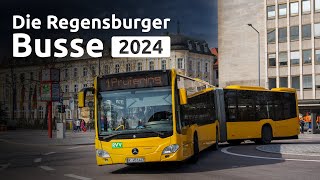 Die Regensburger Busse 2024  das Stadtwerk Mobilität [upl. by Zanahs]