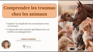 Les traumas chez les animaux [upl. by Fausta]