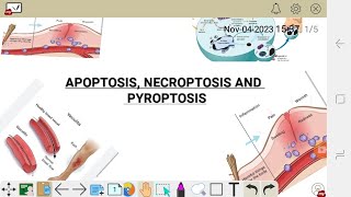 APOPTOSISNECROPTOSIS AND PYROPTOSIS [upl. by Grady]