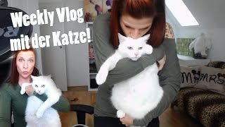 Weekly Vlog mit Tinker und dem plüschigen Kiro [upl. by Senn]