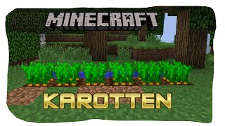 KAROTTEN TUTORIAL   Minecraft Tutorial Deutsch [upl. by Pradeep631]