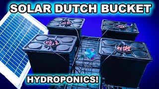 ADDING SOLAR TO THE DUTCH BUCKET HYDROPONICS SYSTEM [upl. by Manvel419]