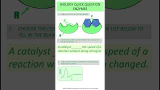 Quick Question  Biology  ENZYMES  GCSE Science Revision [upl. by Elissa]