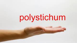 How to Pronounce polystichum  American English [upl. by Le]