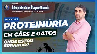 1º Episódio PROTEINÚRIA em cães e gatos onde estou errando [upl. by Ynar]