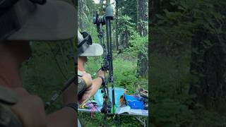 Archery Hunting Practice  365 Targets  Spot Hog Wiseguy  Tightspot Quiver  MATHEWS V3X [upl. by Ahsinel]