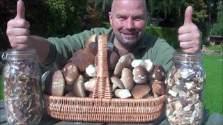 Drying Porcini Mushrooms in the Food Dehydrator [upl. by Eenalem215]