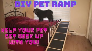 How to build a DIY Pet Ramp Start to Finish  Includes complete Drawings and Instructions [upl. by Leuas]