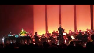 Thylacine  Anatolia 57 Live Festival Days Off Philharmonie Paris 20230707 210503 HD [upl. by Nehepts451]