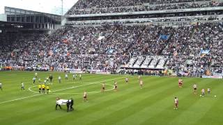 Local Hero Toon v sunderland warm up [upl. by Adao]