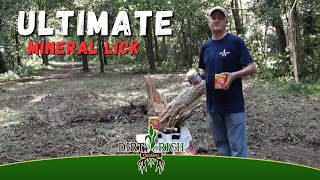 Ultimate MINERAL LICK for DEER [upl. by Ynottirb976]