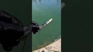 🧲10 MAGNET FISHING FINDS IN 56 Seconds Mud Creek Savona Ithaca New York Erie Canal Seneca Falls [upl. by Pelagia]