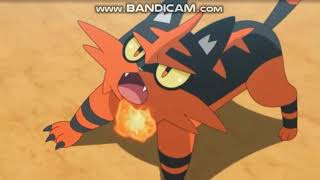 pokemon sun and moon ultra legends ashs torracat evolves into incineroar [upl. by Aitram569]