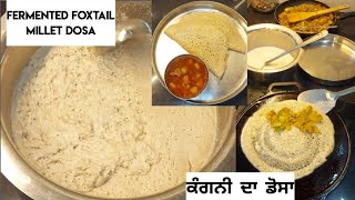 Fermented Foxtail Millet Dosaਕੰਗਨੀ ਦਾ ਡੋਸਾ कंगनी का डोसा High Fibre Gluten Free Milletfat loss🙂 [upl. by Nnylhsa]