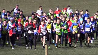 2018 02 25 Belgisch Kampioenschap Veldloop Brussel Pupillen eerste jaars jongens [upl. by Aisereht]