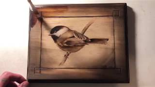 CHICKADEE bird pyrography by Brandon Stewart [upl. by Ihab]