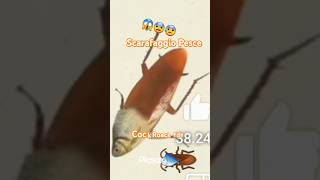 Scarafaggio Pesce 🐟🪳 Cockroach Fish 🐟🪳 Meme memememescockroachfish redchan2007 [upl. by Heyde]