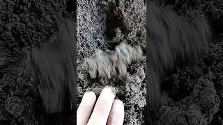 My Vermicompost Farm vermicompost farming vermicomposting [upl. by Henley]