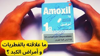 Amoxil معلومات حول دواء أموكسيل [upl. by Monahan]