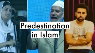 Predestination In Islam Commenting on Yashma Gill’s inquiry and Dr Zakir Naik’s Answer… islam [upl. by Eadas]