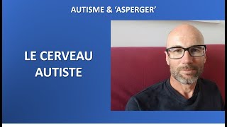 4 Autisme et Asperger le cerveau autiste [upl. by Noleta437]