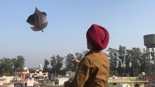 Flying kites Festival  BIR RAMGARHIA [upl. by Chun]