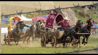 2018 National Championship Chuckwagon Races  DVD Intro [upl. by Nuoras]