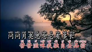 萨克斯演奏 想你的时候问月亮 [upl. by Ahsinra]