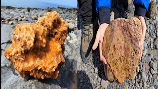 Cave Treasures Rockhounding Halls Harbour Nova Scotias Bay of Fundy Canada [upl. by Bergstrom]