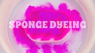 ASMR Sponge 659Sponge Dyeing [upl. by Zeni787]