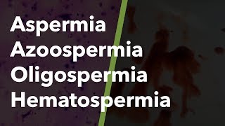 Aspermia Azoospermia Hematospermia Oligospermia 35 [upl. by Ayamahs]