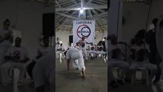 Menino batizado em Santa Catarina de capoeira 💯 [upl. by Margret]