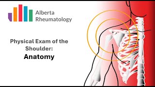 Rheumatology Shoulder Physical Exam Part 1 Anatomy [upl. by Nosille]