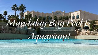 Vegas Day 2  Mandalay Bay amp Aquarium [upl. by Aristotle]