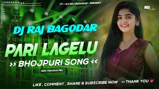 Sona Sadiya Me Pari Lagelu  Pramod Premi Yadav  Edm Mix Lovers  DJ RAJ Bagodar [upl. by Llerred278]