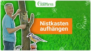 Nistkasten aufhängen  Eine Anleitung [upl. by Tillfourd75]